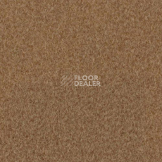 Ковролин Sommer Needlepunch Exposhow Exposhow Medium Beige 9526 фото 1 | FLOORDEALER